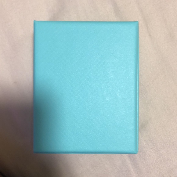 Tiffany y co. Bag and case - Picture 4 of 4